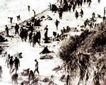 1915 ANZAC Cove